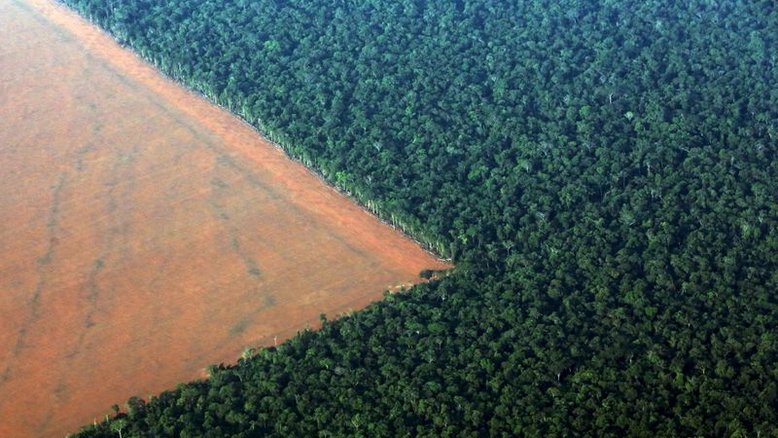 Sojicultores do Brasil recebem pagamento em troca de 'serviços ambientais'