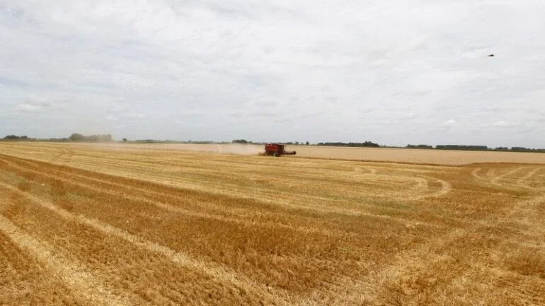 Bolsa de Rosário eleva projeção de safra de trigo da Argentina 2021/22 para 20,5 mi t