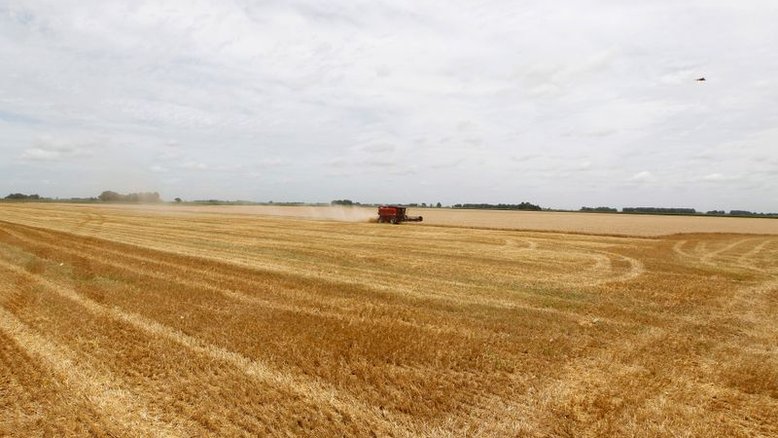 Bolsa de Rosário eleva projeção de safra de trigo da Argentina 2021/22 para 20,5 mi t
