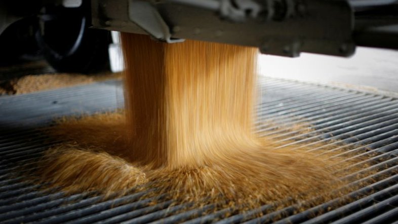 Cerradinho busca IPO para financiar projeto de etanol de milho de R$1,4 bi no MS