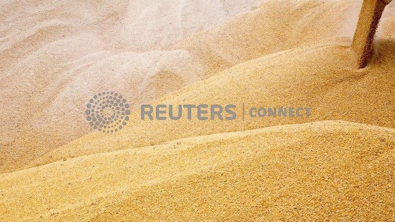 Exportações de grãos da Ucrânia em 2021/22 avançam 2% para 6,5 mi t até agora