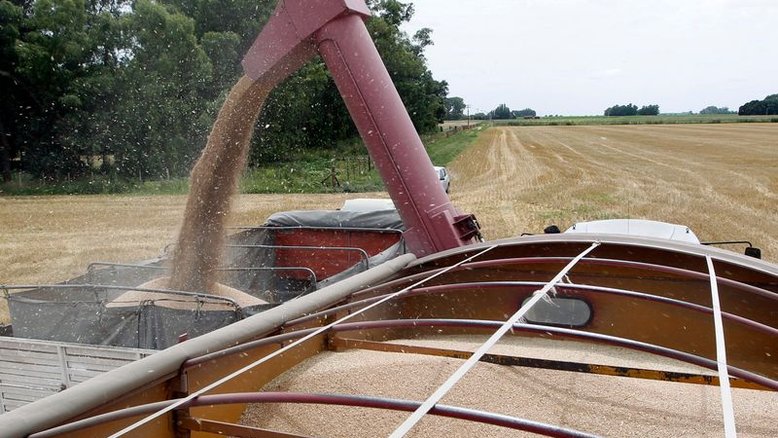 Seca atinge trigo da Argentina mas estimativa de safra segue estável, diz bolsa