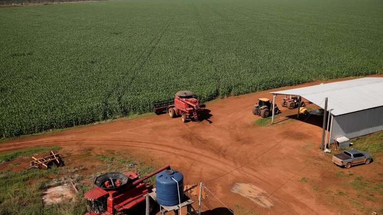 AgRural vê alta de apenas 0,6% no plantio da 1ª safra 21/22 de milho do centro-sul