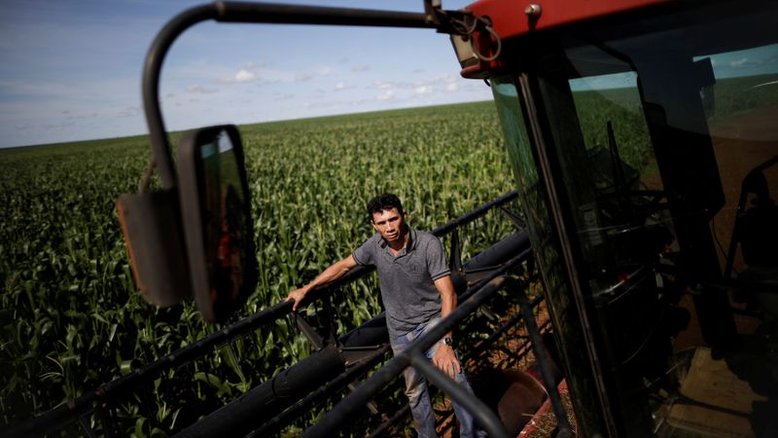 Paraná registra plantio de 3% do milho da nova safra; vê avanço da colheita 20/21