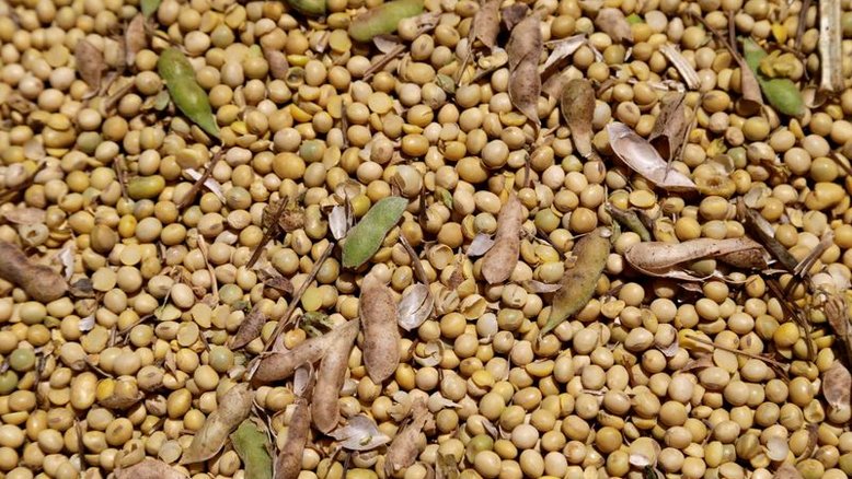 CNPE reduz mistura do biodiesel no diesel; produtores apontam retrocesso