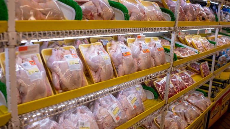 Exportação de frango do Brasil soma quase US$ 5 bi até agosto com preço e demanda firmes