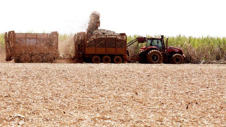 Unica diz que alta na moagem de cana e produtividade menor indicam safra curta no CS