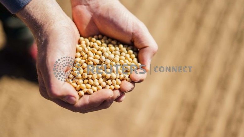 China compra soja do Brasil enquanto danos por furacão limitam vendas dos EUA, dizem traders