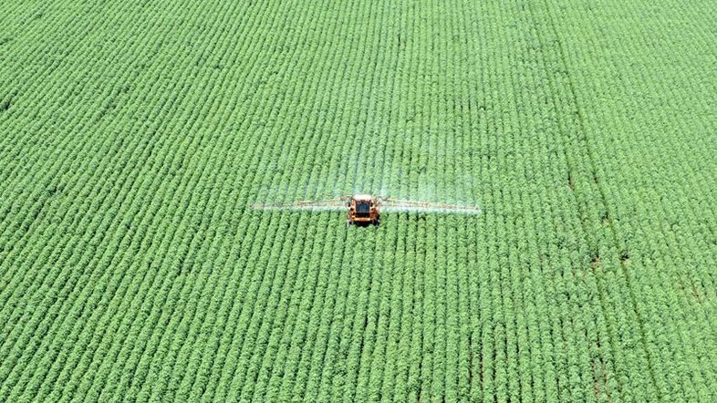 Bom Futuro inicia plantio de soja 2021/22 em Mato Grosso; vê alta de 2,36% em área
