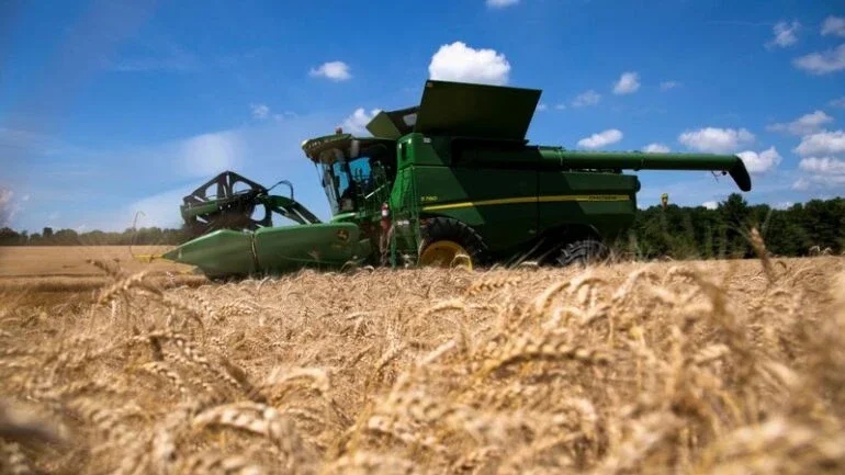 Trigo avança em Chicago com foco na oferta mundial