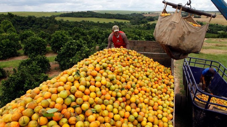 Estoque de suco de laranja pode cair até 46% em 21/22 após intempéries, diz CitrusBR