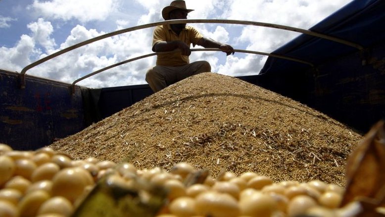 Mato Grosso dá largada no plantio de soja 21/22; Imea vê melhores condições