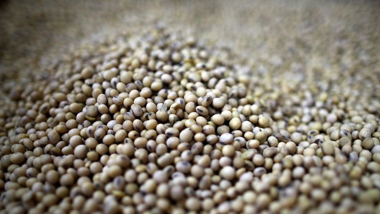 Agricultores argentinos venderam 30,5 mi t de soja em 2020/21, diz governo