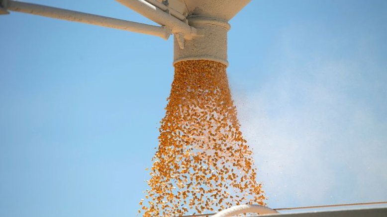Milho, soja e trigo avançam em Chicago antes de dados do USDA sobre estoques