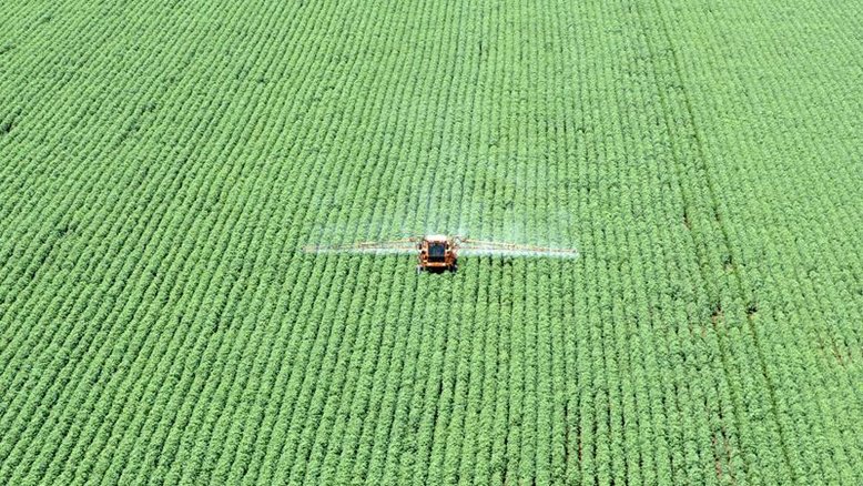 Brasil regulamenta CPR Verde para estimular agricultor a preservar floresta