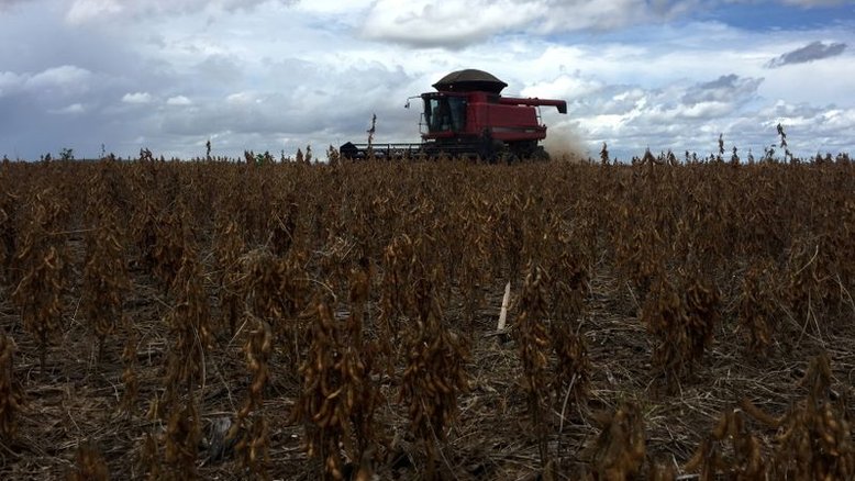 Brasil tem 2ª plantio de soja mais rápido da história e vai a 22% da área, diz AgRural