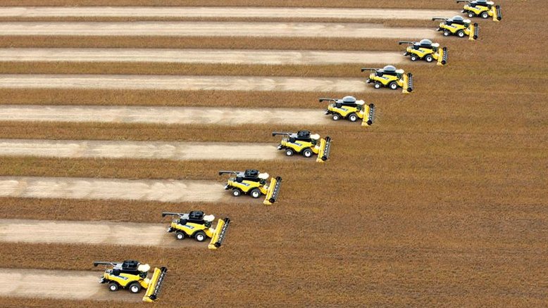 Plantio de soja no Brasil atinge 23,7% das áreas de 2021/22, diz Conab