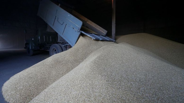 Colheita de grãos da Ucrânia em 2021 atinge 73% com 52 milhões de toneladas
