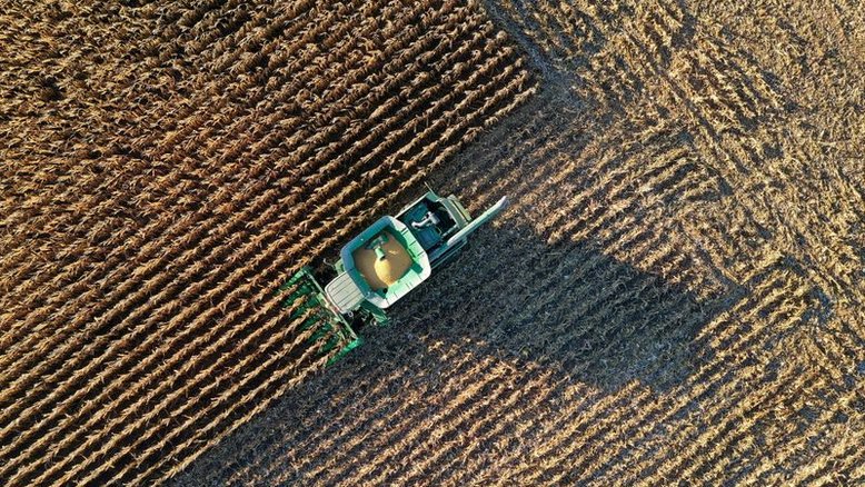 Agricultores precisam de mais espaço para safras atenderem à crescente demanda, diz AgResource