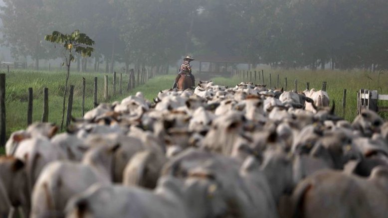 Ministério da Agricultura suspende produção de carne bovina para a China, diz O Globo