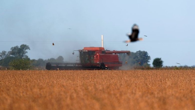 Milho, soja e trigo avançam em Chicago com forte demanda mundial