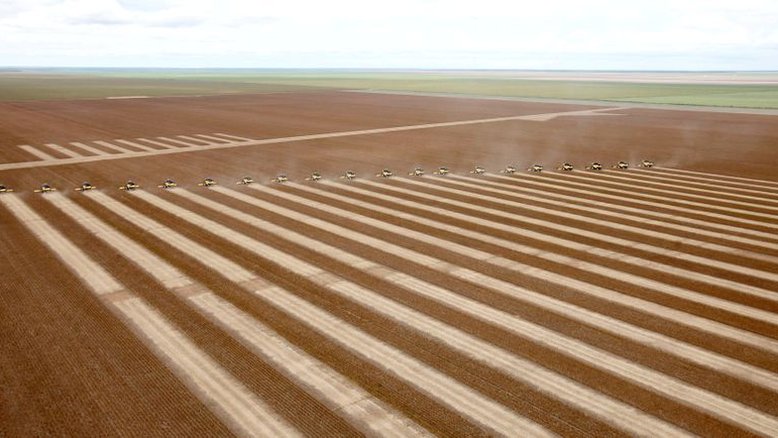Plantio de soja avança para 36,8% das áreas no Brasil, diz Conab