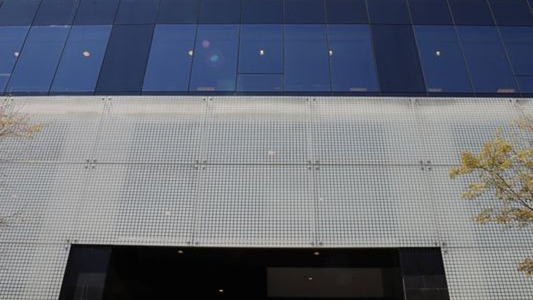BTG anuncia projeto para reflorestar áreas que podem movimentar US$1 bi em 5 anos