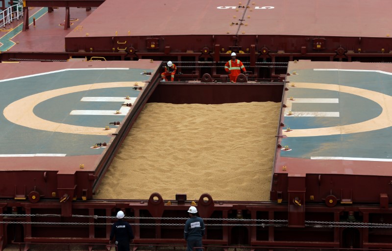 Agribrasil investe em terminal portuário em SC, espera escoar grãos dali em 2024