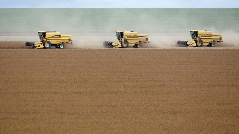 Plantio de soja 21/22 alcança 67,3% das áreas no Brasil, diz Pátria AgroNegócios