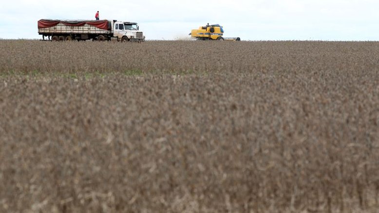 Vendas de soja de MT avançam para 44,4% da safra 21/22, diz Imea