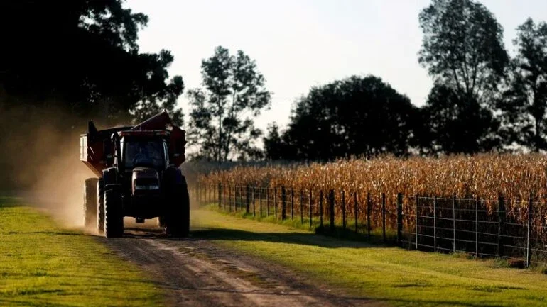 USDA se junta à discussão sobre área cultivada nos EUA em 2022