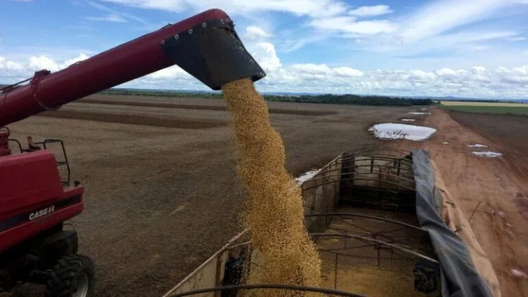 Plantio de soja avança para 88% da área no Paraná; tem melhor ritmo desde 2016