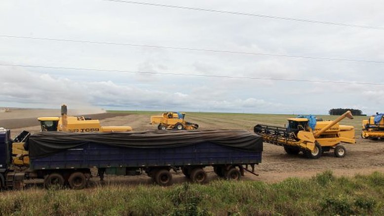Rabobank estima exportação e esmagamento recordes de soja no Brasil em 2022