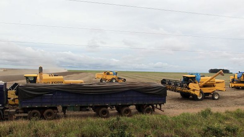Rabobank estima exportação e esmagamento recordes de soja no Brasil em 2022