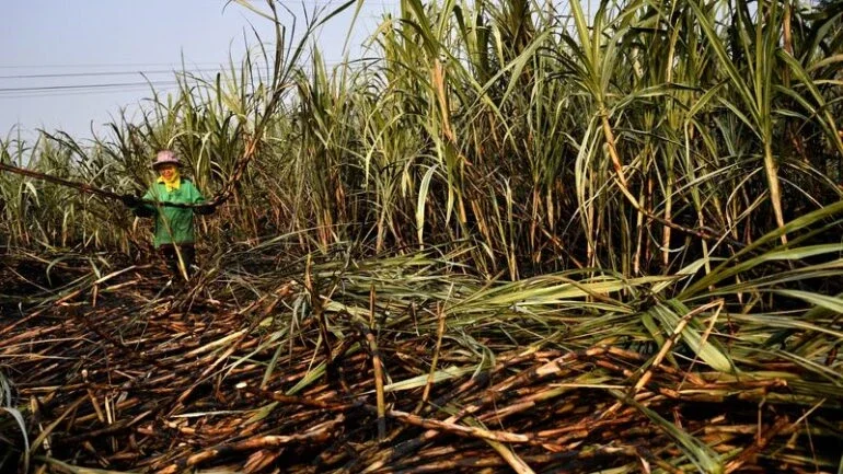 Plano da Índia para mistura de 20% de etanol cortará subsídio ao açúcar, diz governo