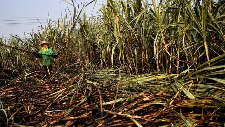 Plano da Índia para mistura de 20% de etanol cortará subsídio ao açúcar, diz governo