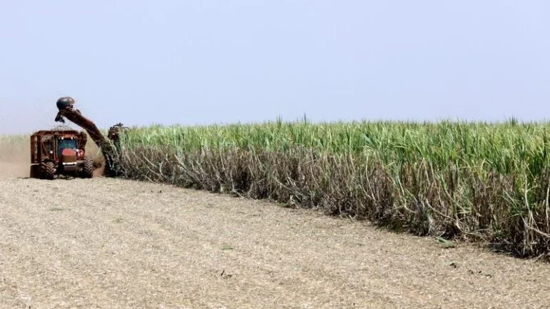 Lucro da Raízen mais que dobra no 2º tri da safra apesar de moagem de cana menor