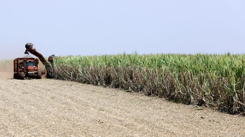 Lucro da Raízen mais que dobra no 2º tri da safra apesar de moagem de cana menor