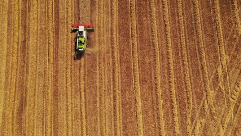 Rússia obtém boa parte de venda de trigo para Argélia, diz governo