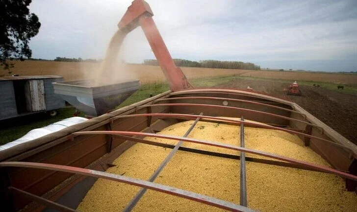 Agricultores de Argentina venderam 34,1 mi t de soja de 20/21, diz governo