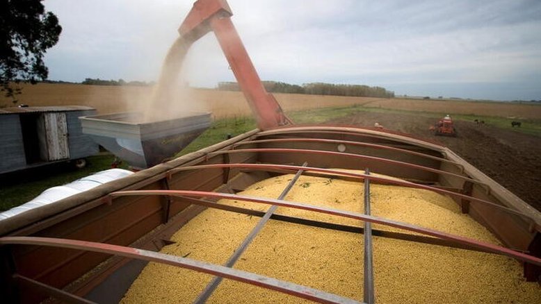 Agricultores de Argentina venderam 34,1 mi t de soja de 20/21, diz governo