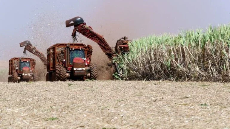 OIA reduz projeção de déficit global de açúcar para 2,55 mi t em 2021/22
