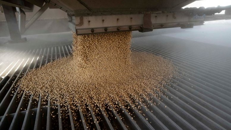 Plantio de soja supera 90% da área projetada no Brasil, diz Safras & Mercado