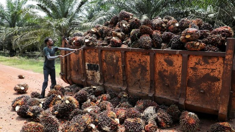 Índia reduz importações de óleo de palma e abre espaço para soja e girassol
