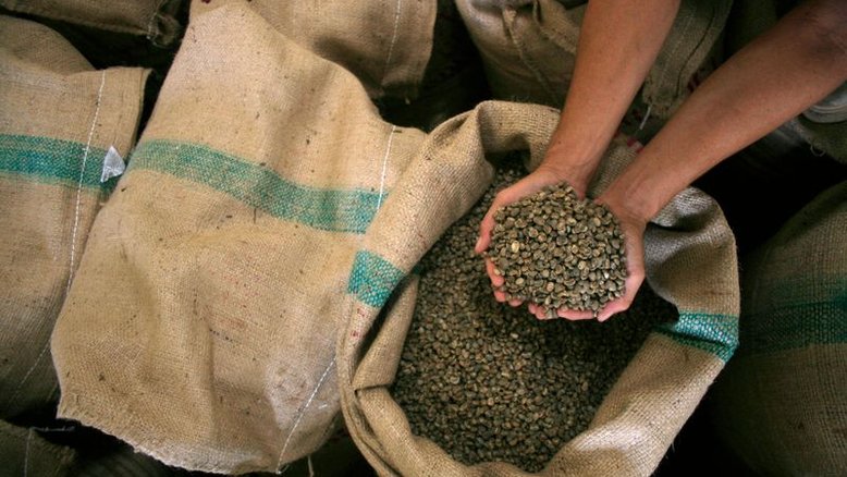 Café robusta avança na ICE com aperto de oferta; açúcar fica estável