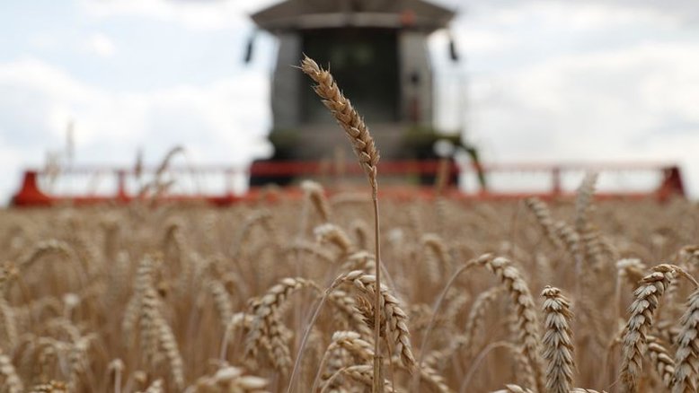 Preços dos alimentos sobem em novembro e seguem na máxima de 10 anos, diz FAO