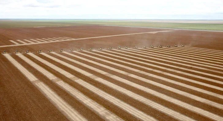 Safra de soja 2021/22 do Brasil deve atingir 145,64 mi t, diz Pátria AgroNegócios