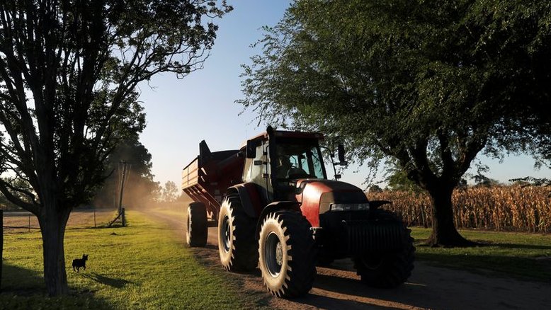 Bolsa de Cereais eleva previsão de área de milho na Argentina para 7,3 mi de hectares