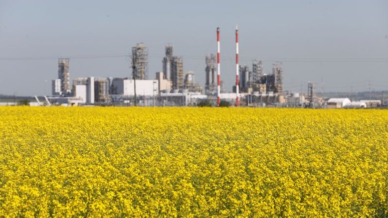 Canadá corta estimativa de safra de canola e de colheita de trigo durum