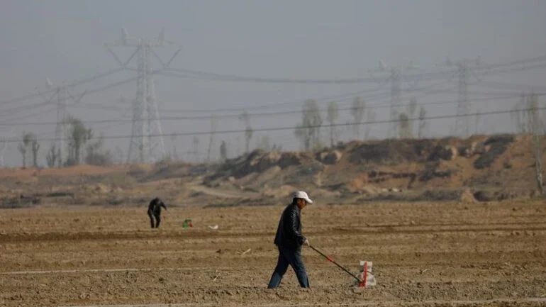 Produção de milho da China cresce 4,6% em 2021